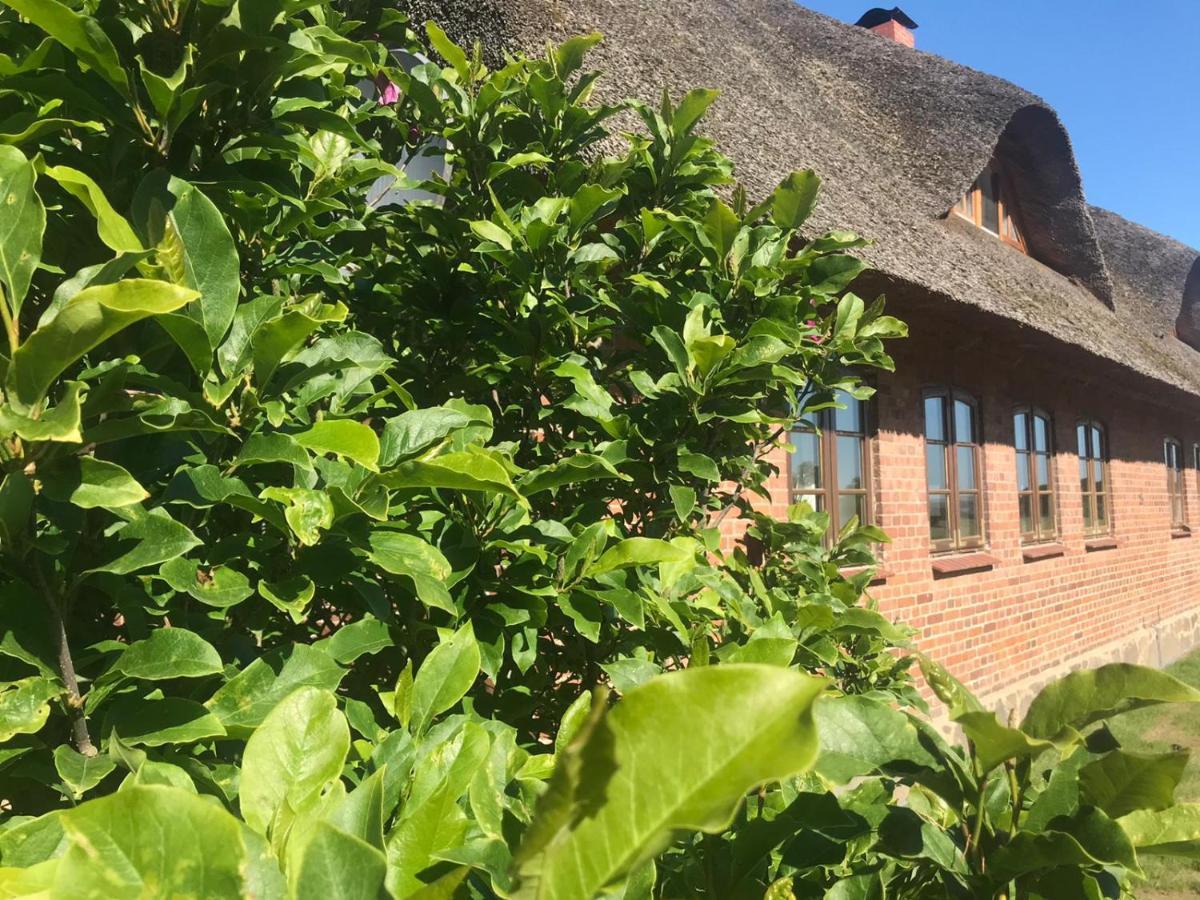 Ferienwohnung Familie Manthei Boitin Resdorf Exterior foto